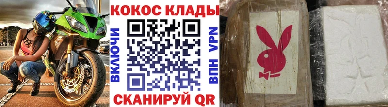 COCAIN Fish Scale  ссылка на мегу ссылки  Заводоуковск  купить закладку 