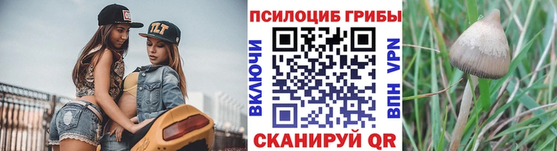 Псилоцибиновые грибы Cubensis  Заводоуковск 