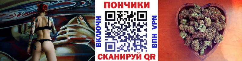 Конопля планчик  как найти закладки  Заводоуковск 